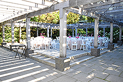 LOVE IN BLOOM AT WISTERIA HALL